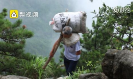 挑山工视频,揭秘挑山工的艰辛与坚韧